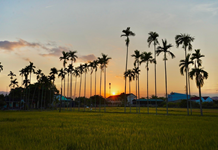 PHÁT TRIỂN DU LỊCH NÔNG THÔN, GÓP PHẦN XÂY DỰNG KHÁNH HÒA NGÀY CÀNG GIÀU MẠNH